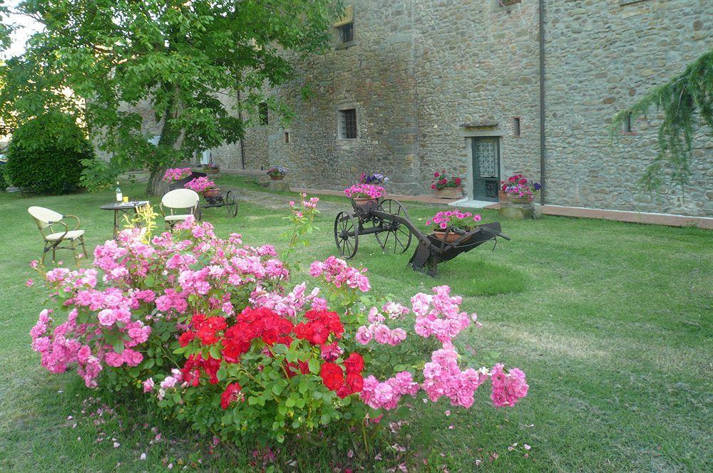 Il Gelso Apartment Cortona Exterior photo